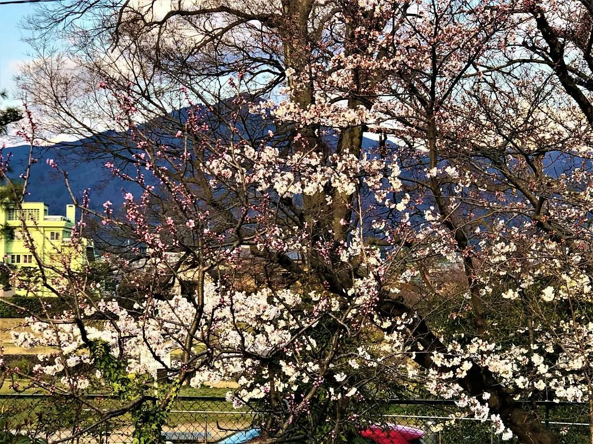 京苑 Kyoen 京町家 Hotel Kyoto Holiday park